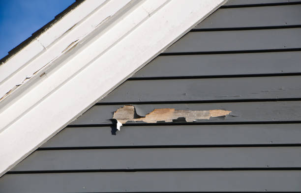 Custom Trim and Detailing for Siding in Richland, GA